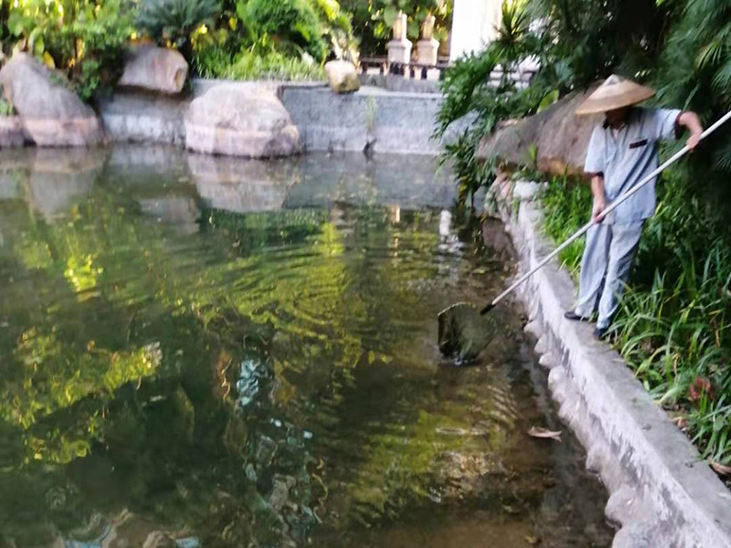 银湖城