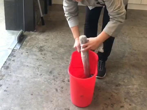 玻璃清洗