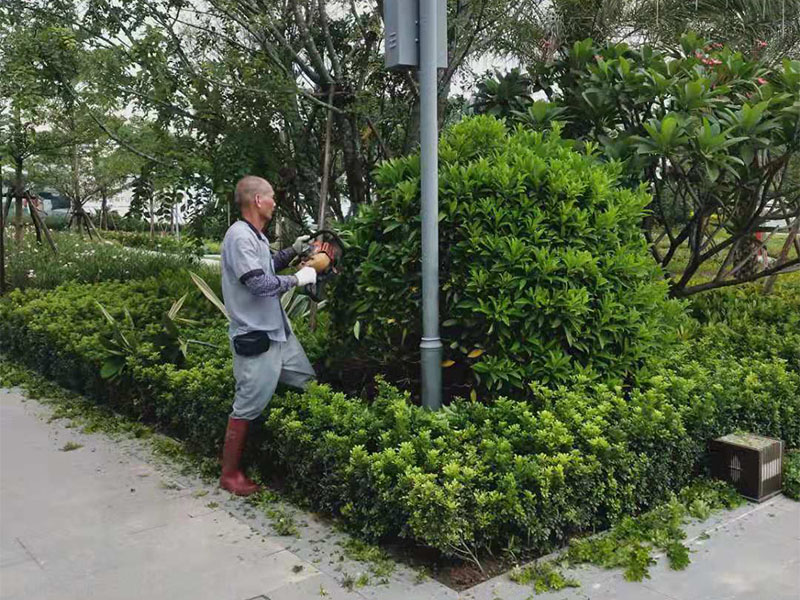 绿化养护服务