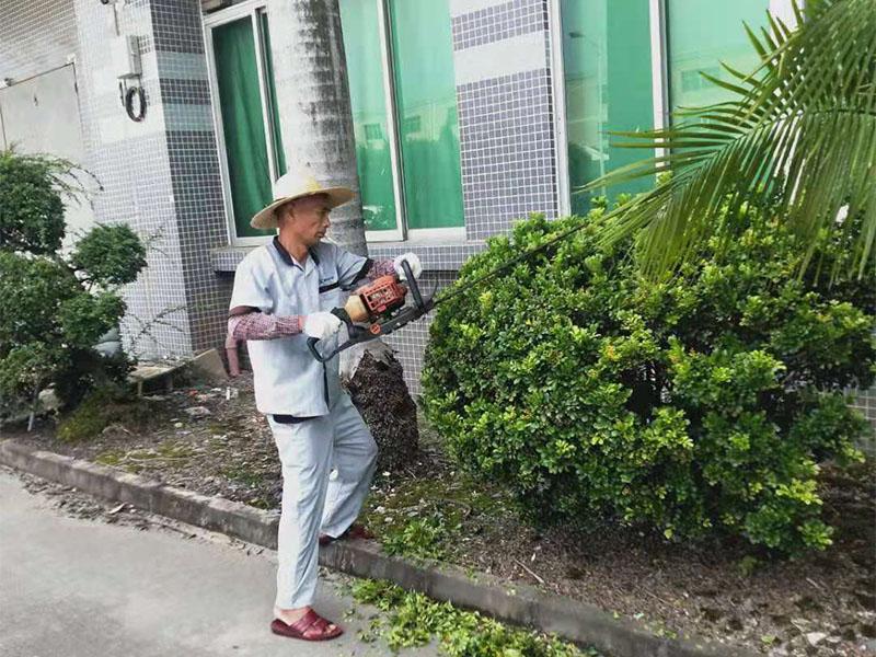 绿化养护服务