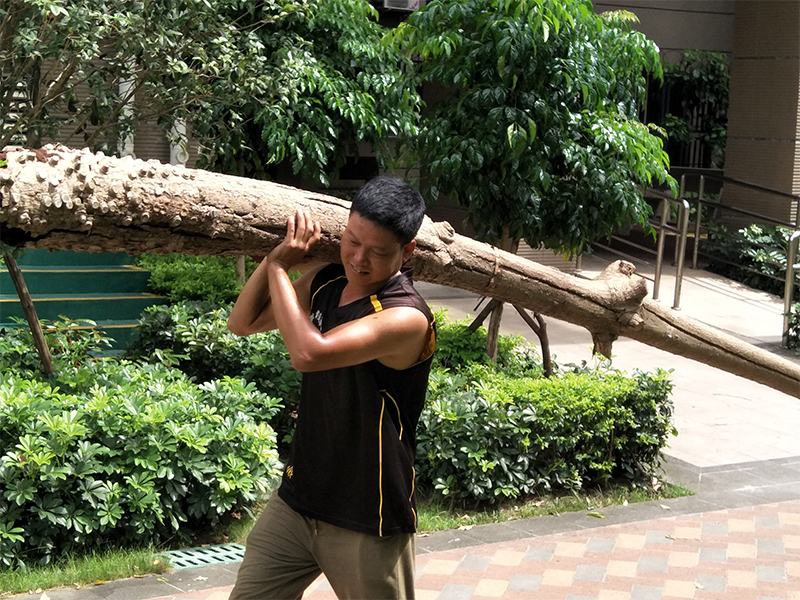 绿化养护服务