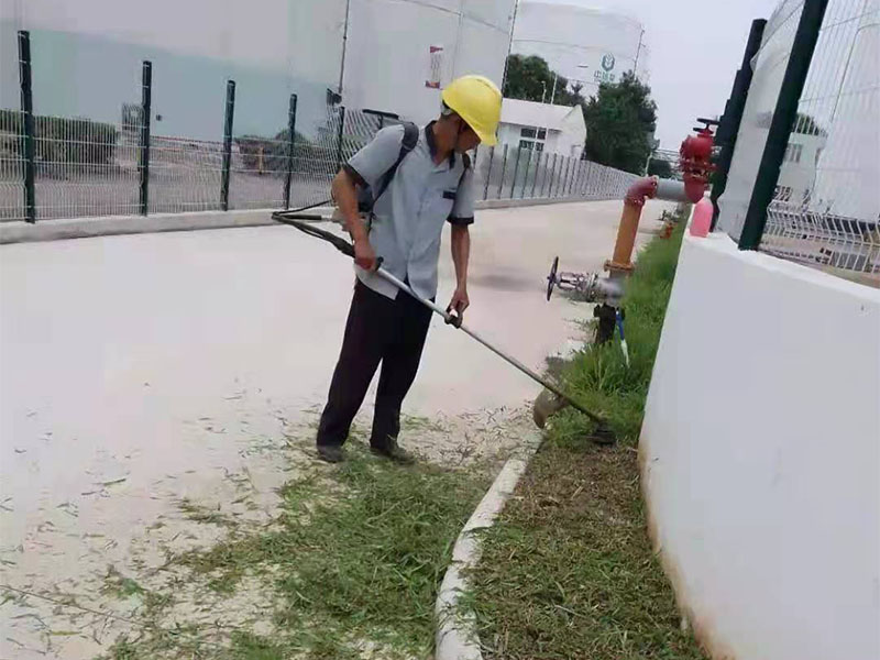 绿化养护服务