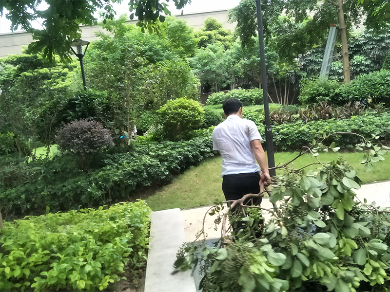 绿化养护服务
