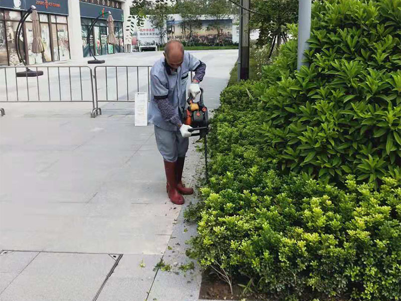 绿化养护