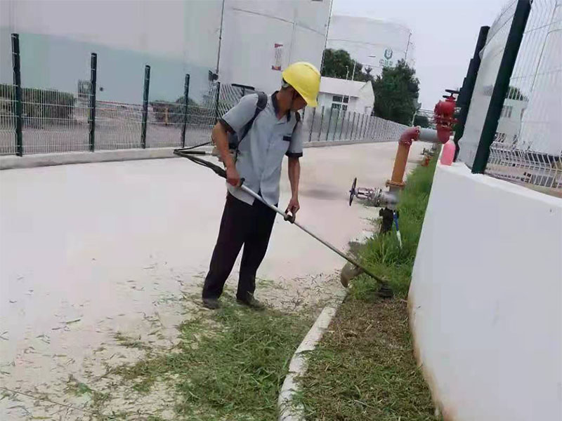 绿化养护