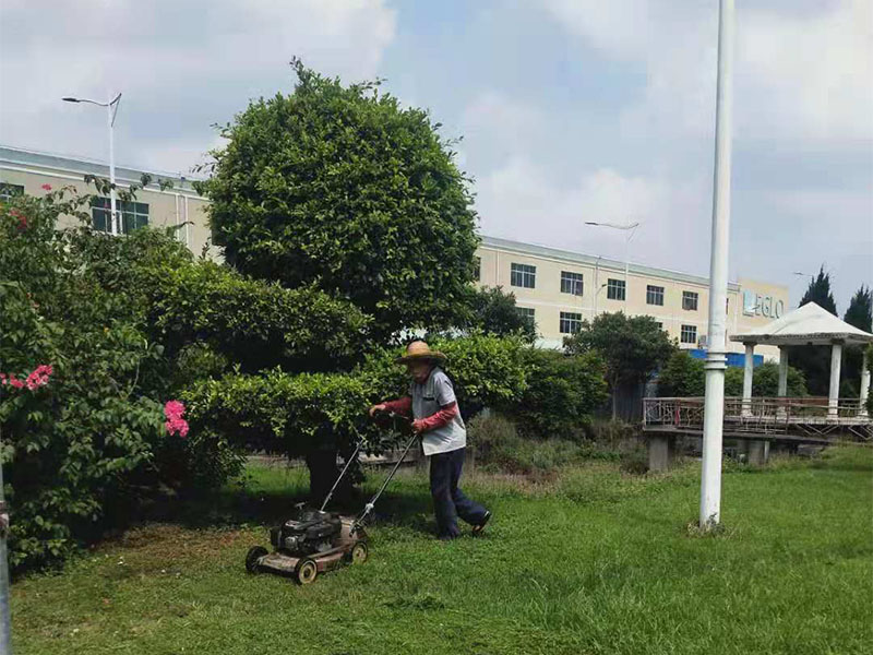 绿化养护