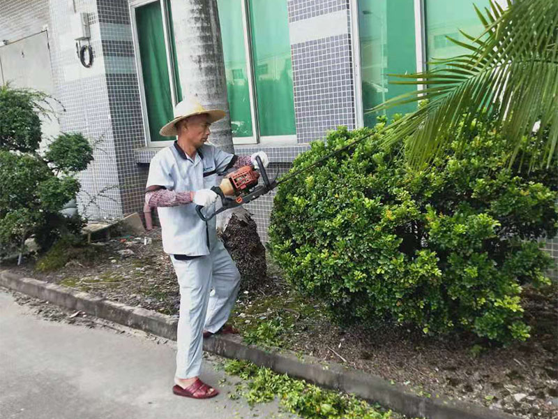 绿化养护
