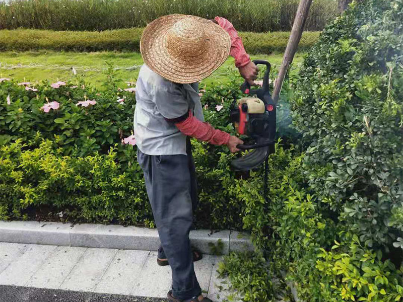 绿化养护