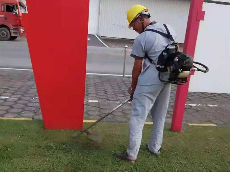 绿化养护