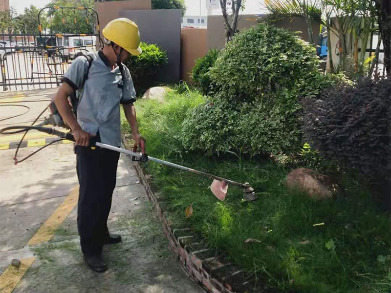 绿化养护